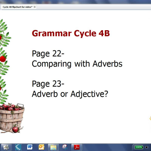 Grammar Cycle 4B video
