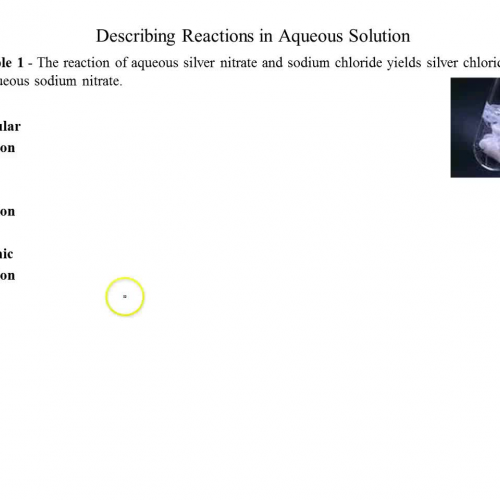 example 1 - describing precipitation reaction