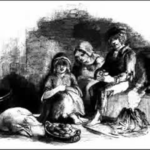 letters from the irish famine