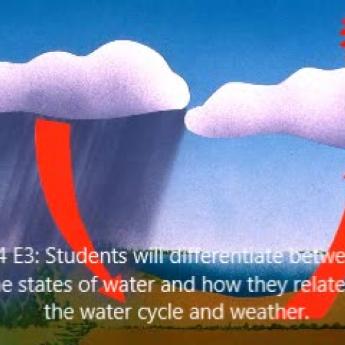 The Water Cycle 