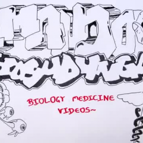 Chemistry_Revision_-_Ions_Cation_Anion_Bonds