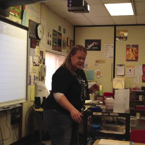 Investigation 2, Part 1, Day 1