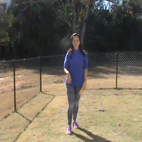 Intro Motivacion Animales