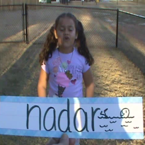 Intro Motivacion Animales