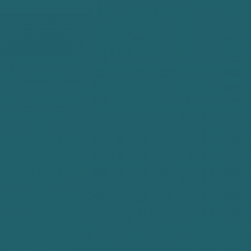 Shivela News Brodcast October 21-25