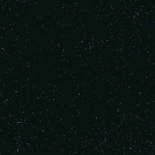 Solving Systems of Equations on the Graphing 