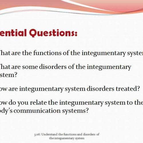 Functions &amp; Disorders of the Integumentar