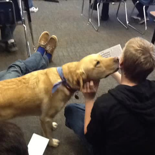 A Day With Friends_Thunder Dog