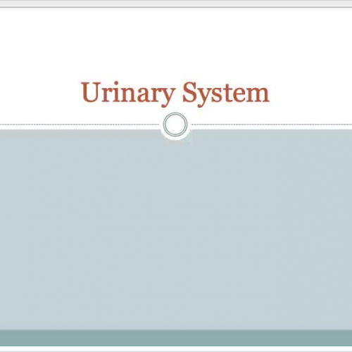 HS1 Urinary System Disorders