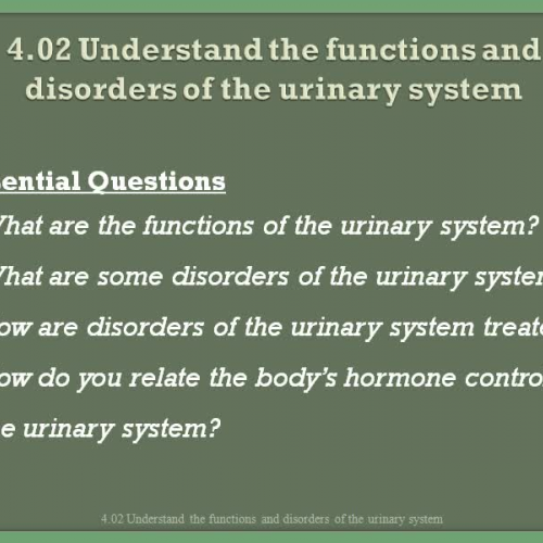 4.02a- Functions of Urinary System