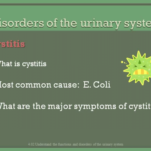 4.02b- Disorders of Urinary System