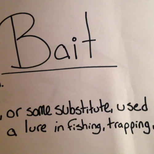Vocabulary Contest- Bait
