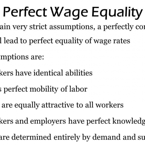 Equality and Inequality under Perfect Competi