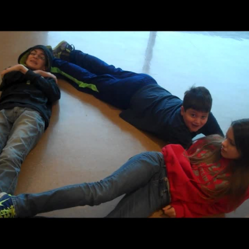 psa 5thhour allie knapp martin schultz