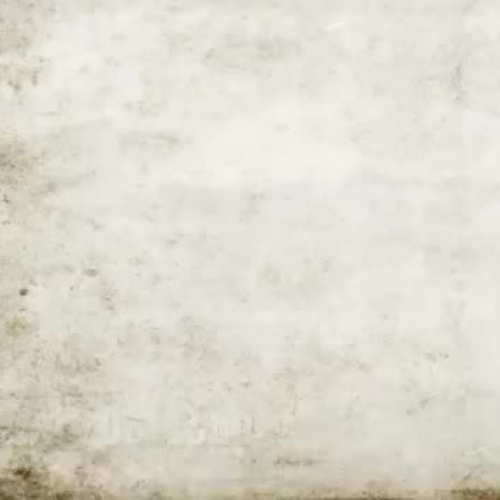 Poetry Out Loud - -Famous- by Naomi Shahib Ny