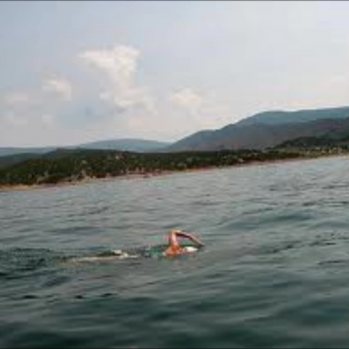 Swimming to Antarctica