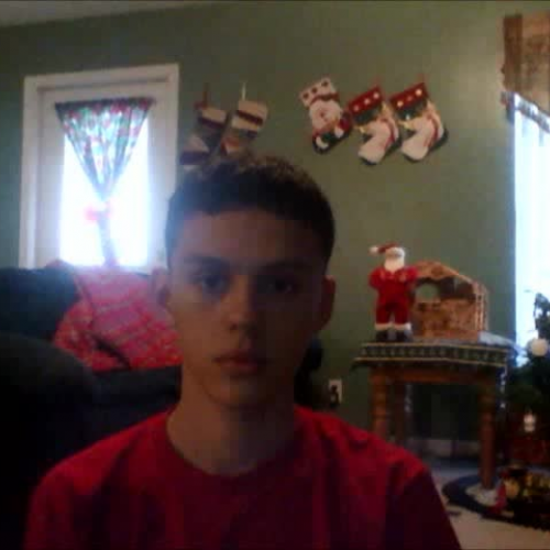 03.02 Describe The Family Visual Presentation