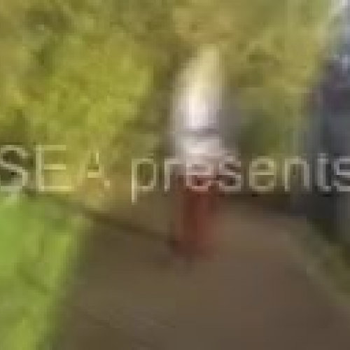 Limestone SEA - Jess, Ella, Beth