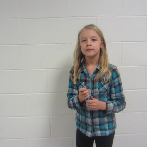 Force and Motion SOTO Video 12