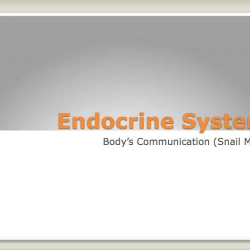 HS1 Endocrine Intro