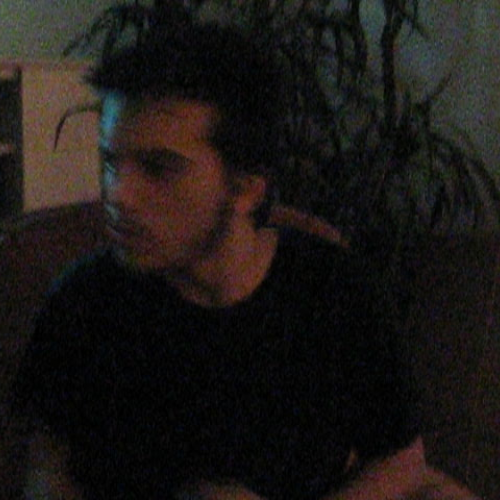 describe the family, visual presentation.