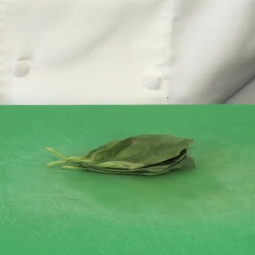 My Culinary Future-  Chiffonade