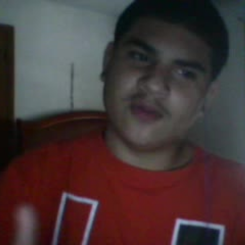 03.02 Describe the Family Visual Presentation