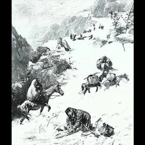 The Donner Party