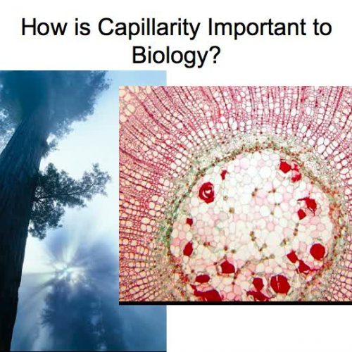 6.2 Water and Diffusion