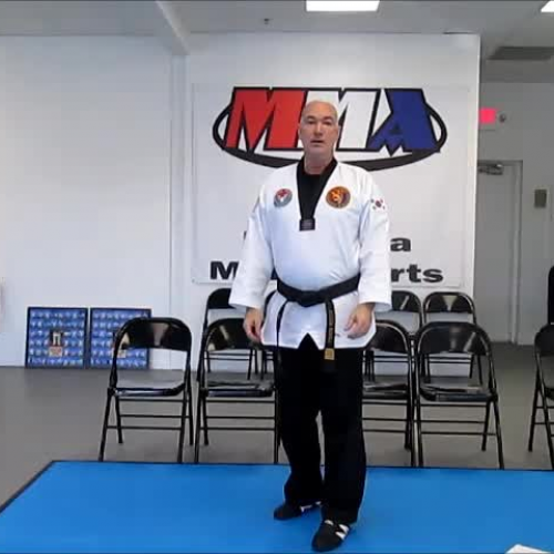 Back Fist - Hammer Fist