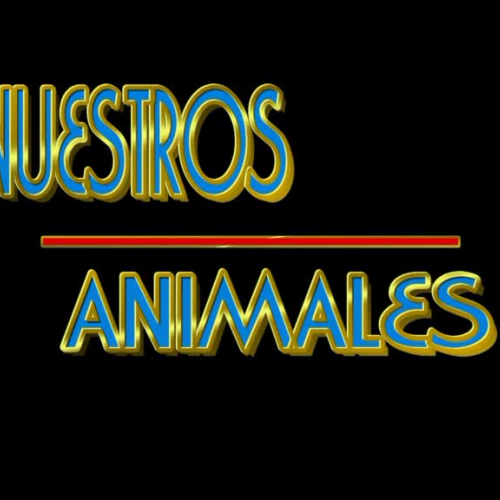 nuestros animales-4?B