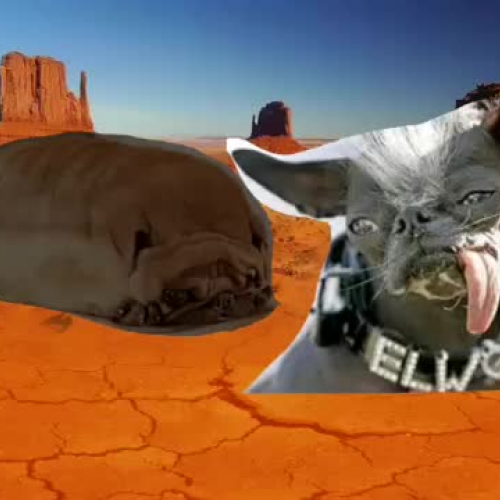 Level 2 chores conversation