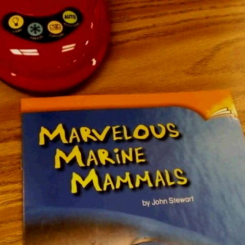 Ladibug101_IntegratedButtonCommands