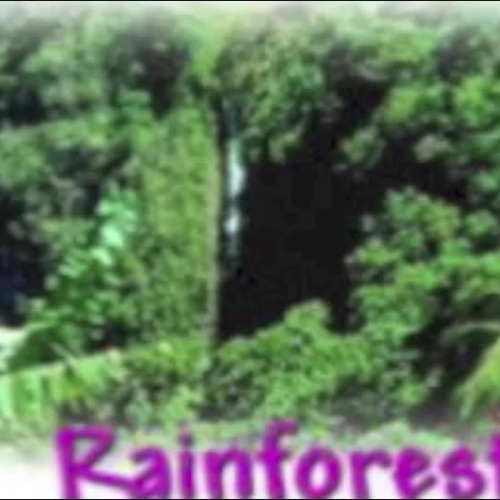 owen tropical rainforest