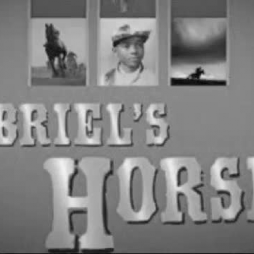 Iris_Gabriels_Horses360p