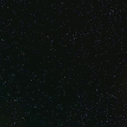 dan and fran marq proj