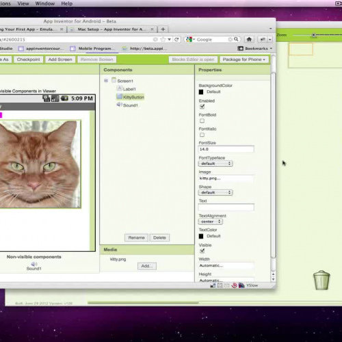 App Inventor- Hello Purr 2