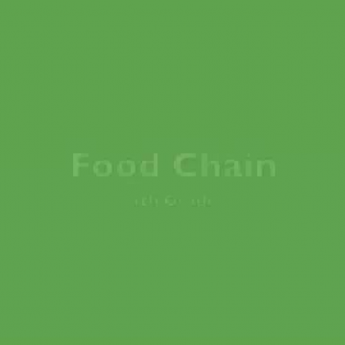 Food Chain Intro Video