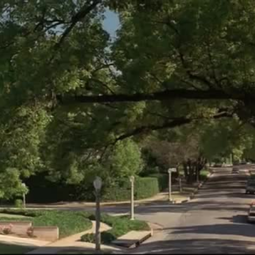 Father of the Bride - Hot Dogs Hot Dog Buns 