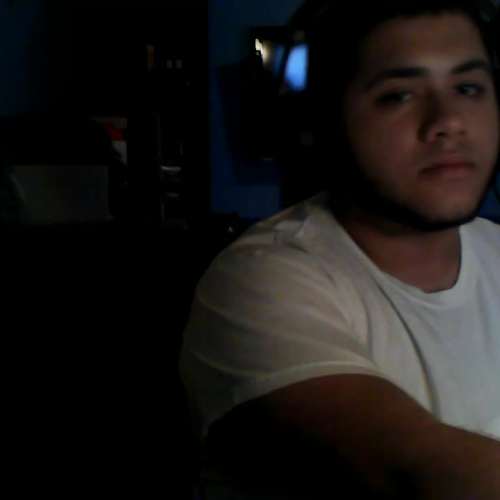 03.02 Describe the Family Visual Presentation