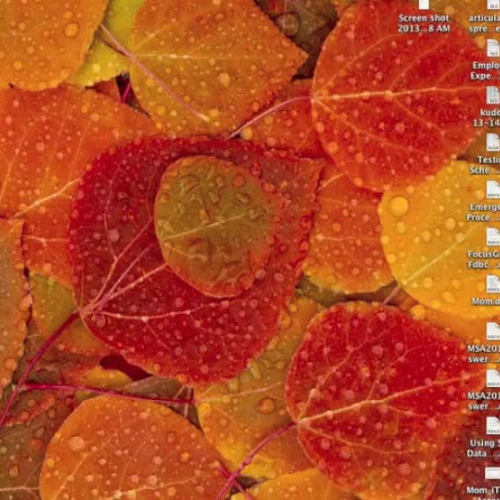Tutorial_WORD_SettingUpADocument