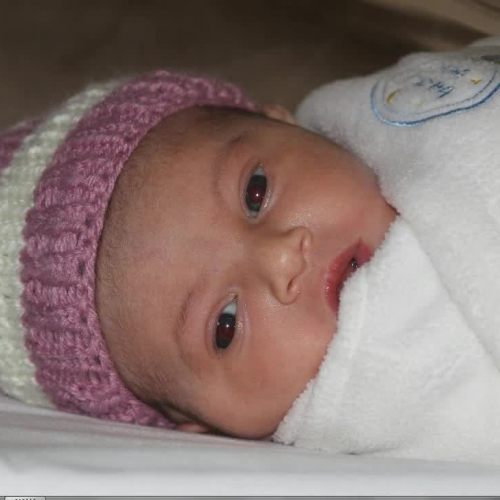 Excel_Lesson_1_Video