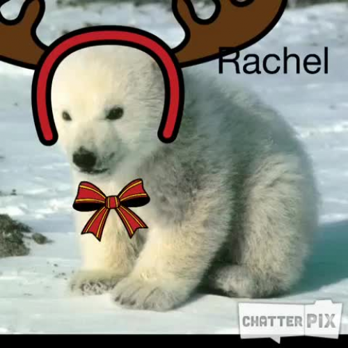 Rachel