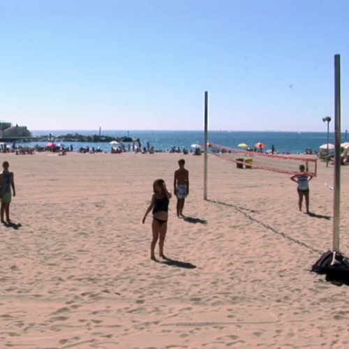 Cass of sport, volleyball