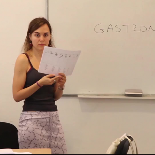 Lesson of language, spanish class