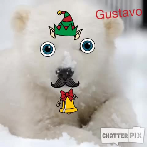 gustavo