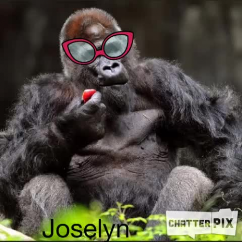 joselyn