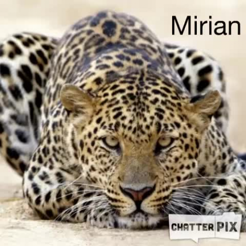 Mirian