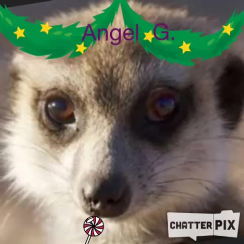 Angel G..
