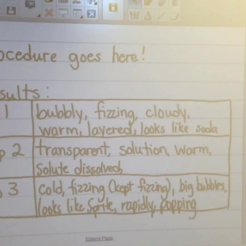 Investigation 4, Part 1 (Discussion)